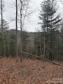 0000 Silverglen Way - Photo 8