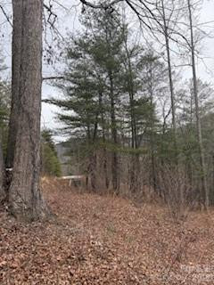 0000 Silverglen Way - Photo 9