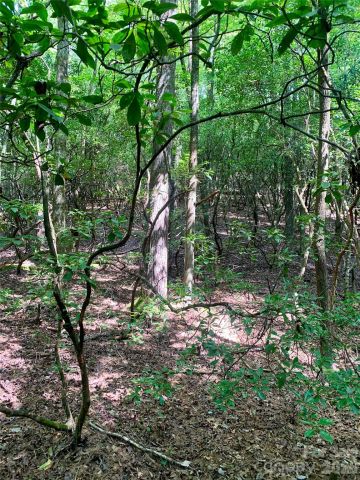 6 Double Creek Road, Brevard, NC, 28712