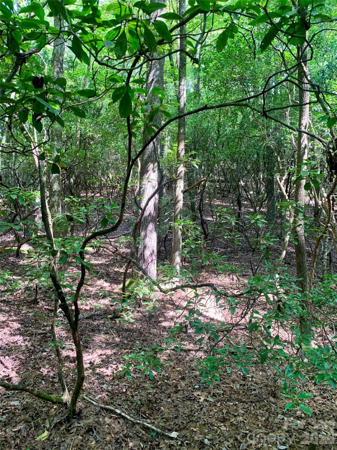 6 Double Creek Road #6