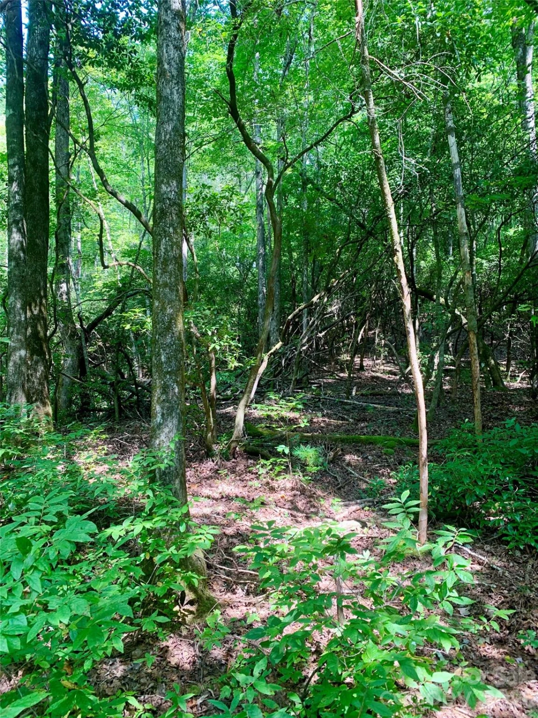 6 Double Creek Road #6 - Photo 2