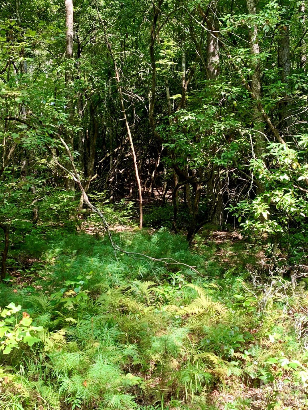 6 Double Creek Road #6 - Photo 3