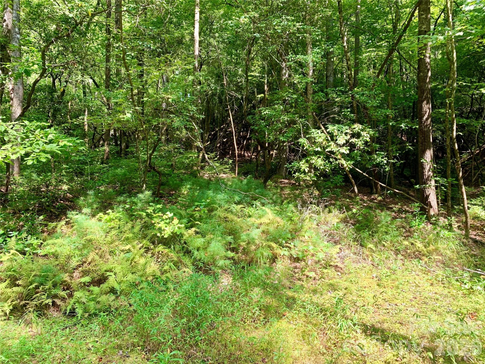 6 Double Creek Road #6 - Photo 4