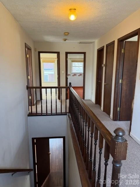 103 Pine Street - Photo 13