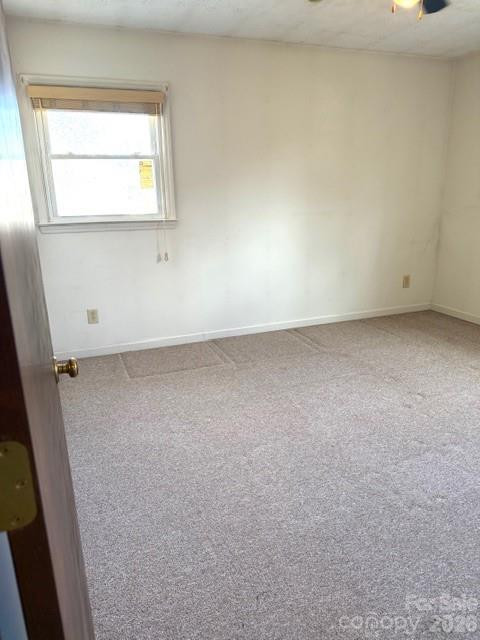 103 Pine Street - Photo 14