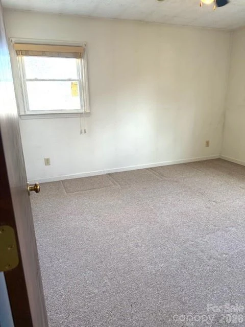 103 Pine Street - Photo 14