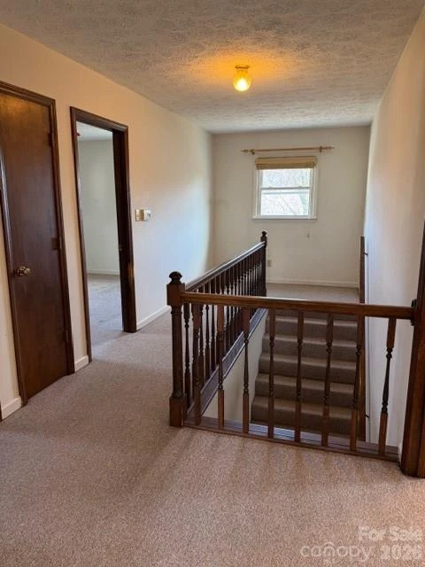 103 Pine Street - Photo 8