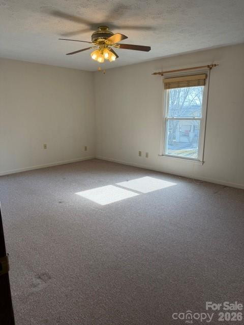 103 Pine Street - Photo 9