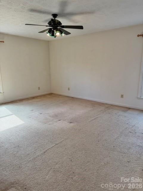 103 Pine Street - Photo 10