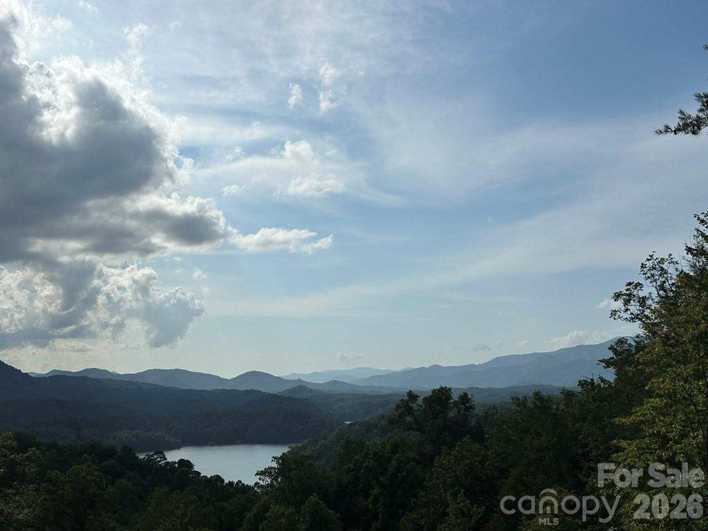 87-3 Eagles Flight None - Photo 2