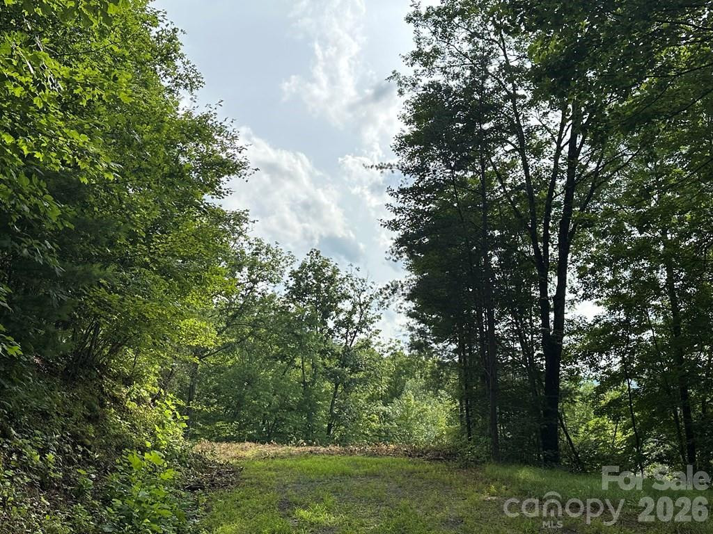 87-3 Eagles Flight None - Photo 3