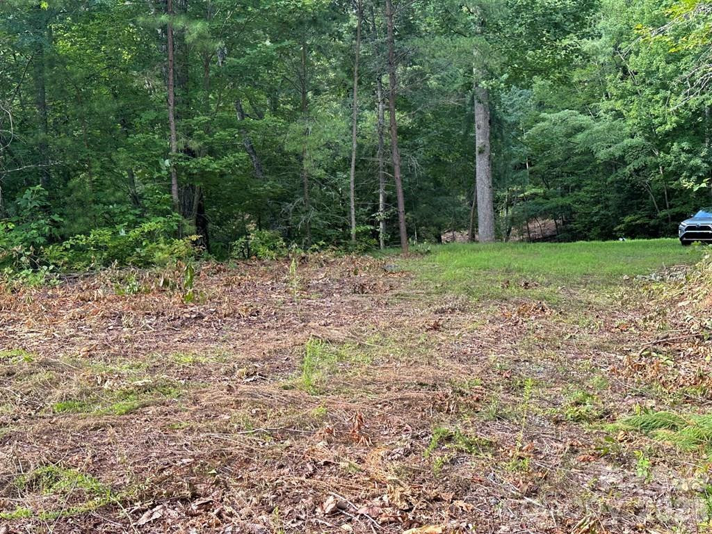 87-3 Eagles Flight None - Photo 4