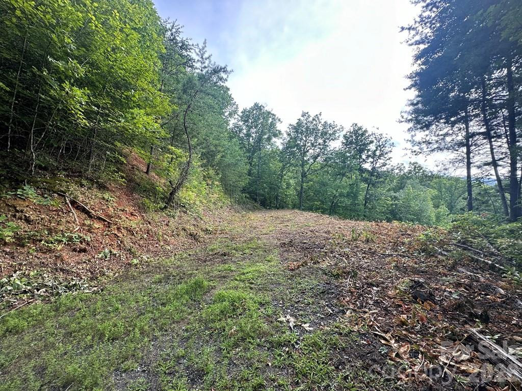 87-3 Eagles Flight None - Photo 5