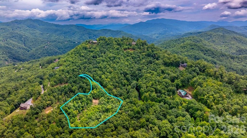 87-3 Eagles Flight None - Photo 6