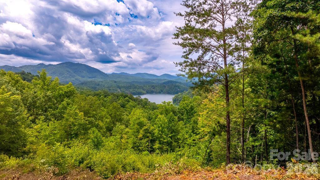 87-3 Eagles Flight None - Photo 7