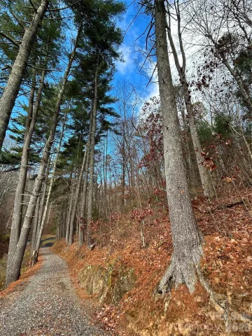 99999 Cowan Cove Road, Asheville, NC, 28806