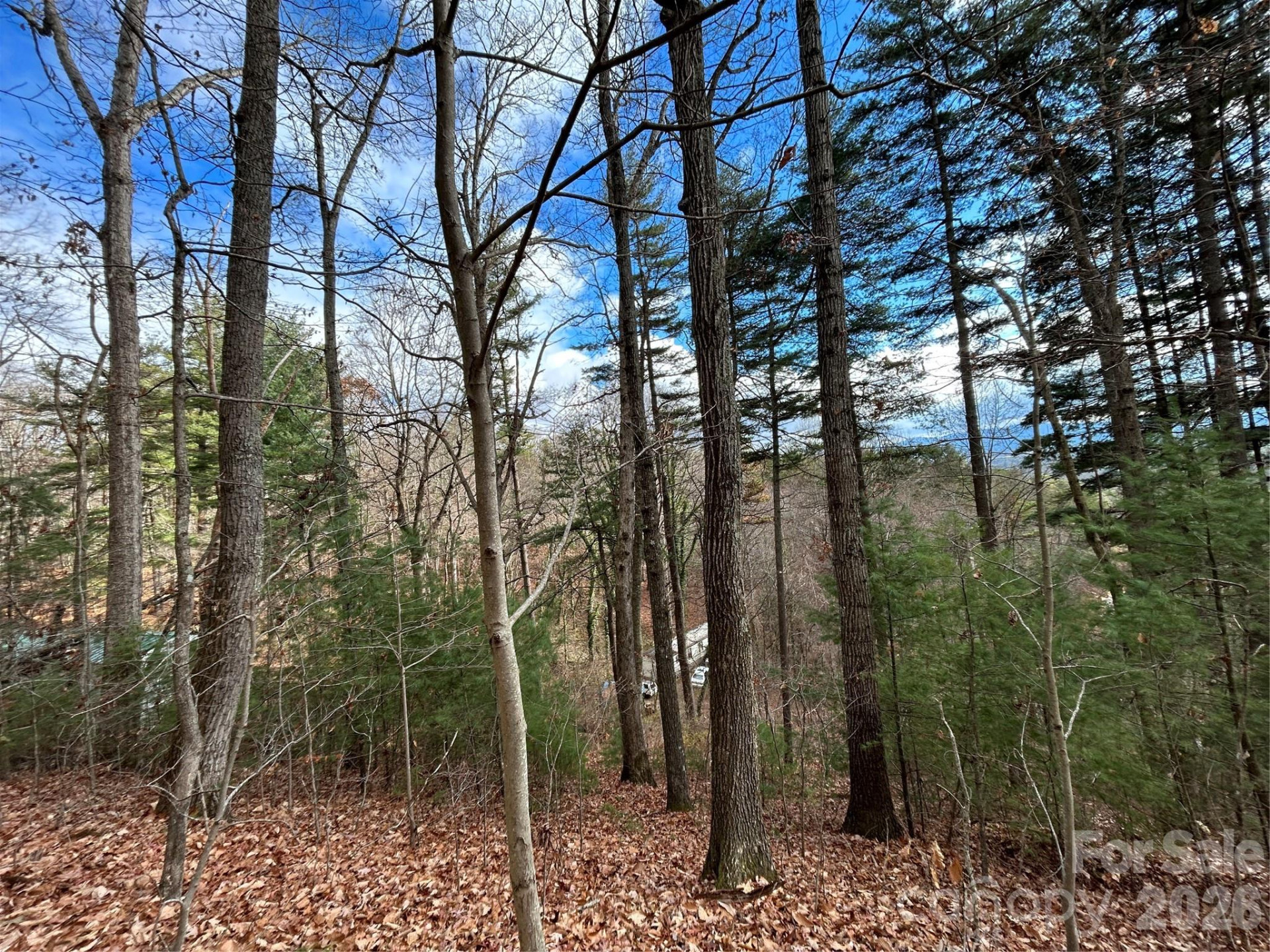 99999 Cowan Cove Road - Photo 2