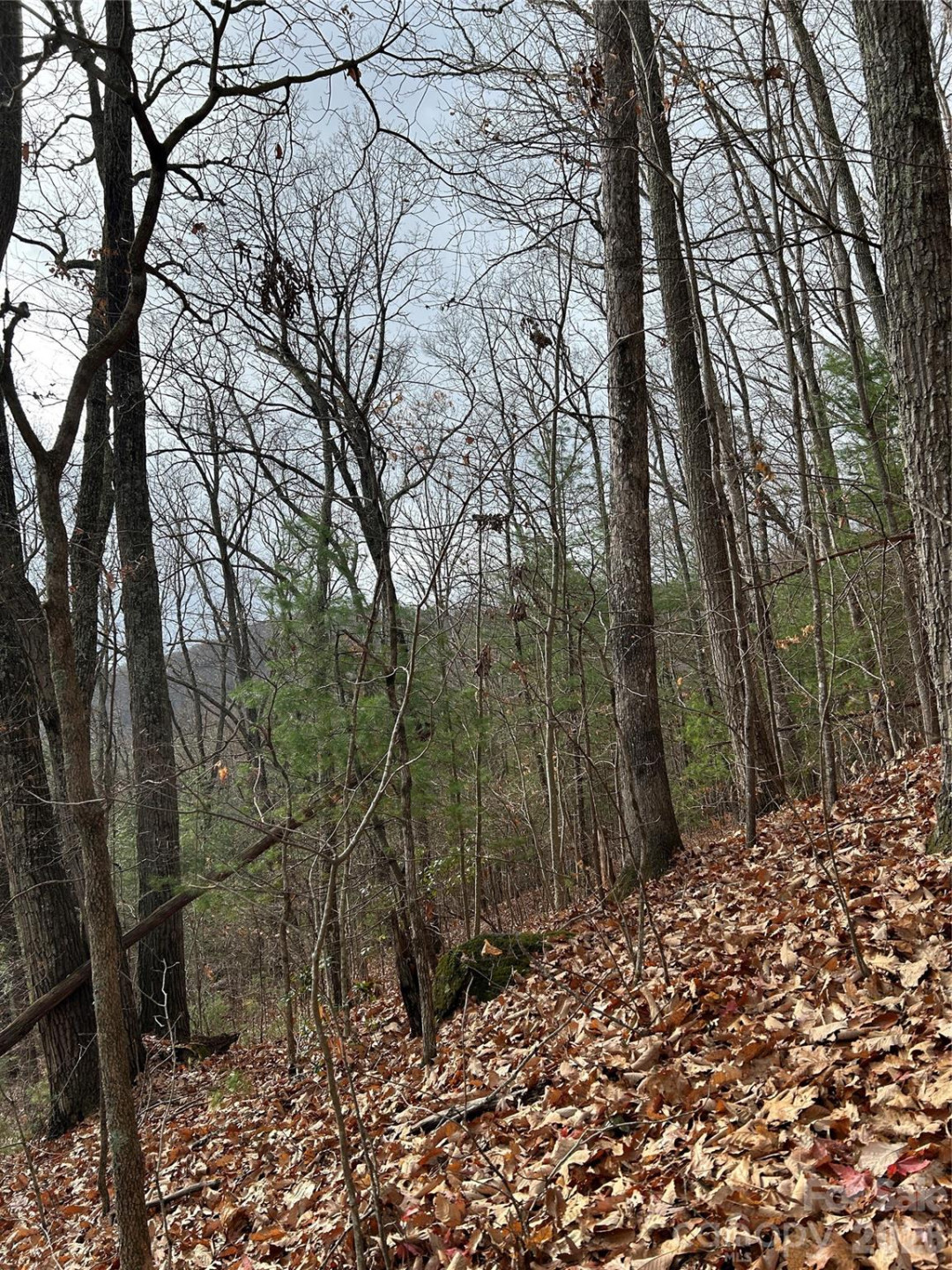 99999 Cowan Cove Road - Photo 3