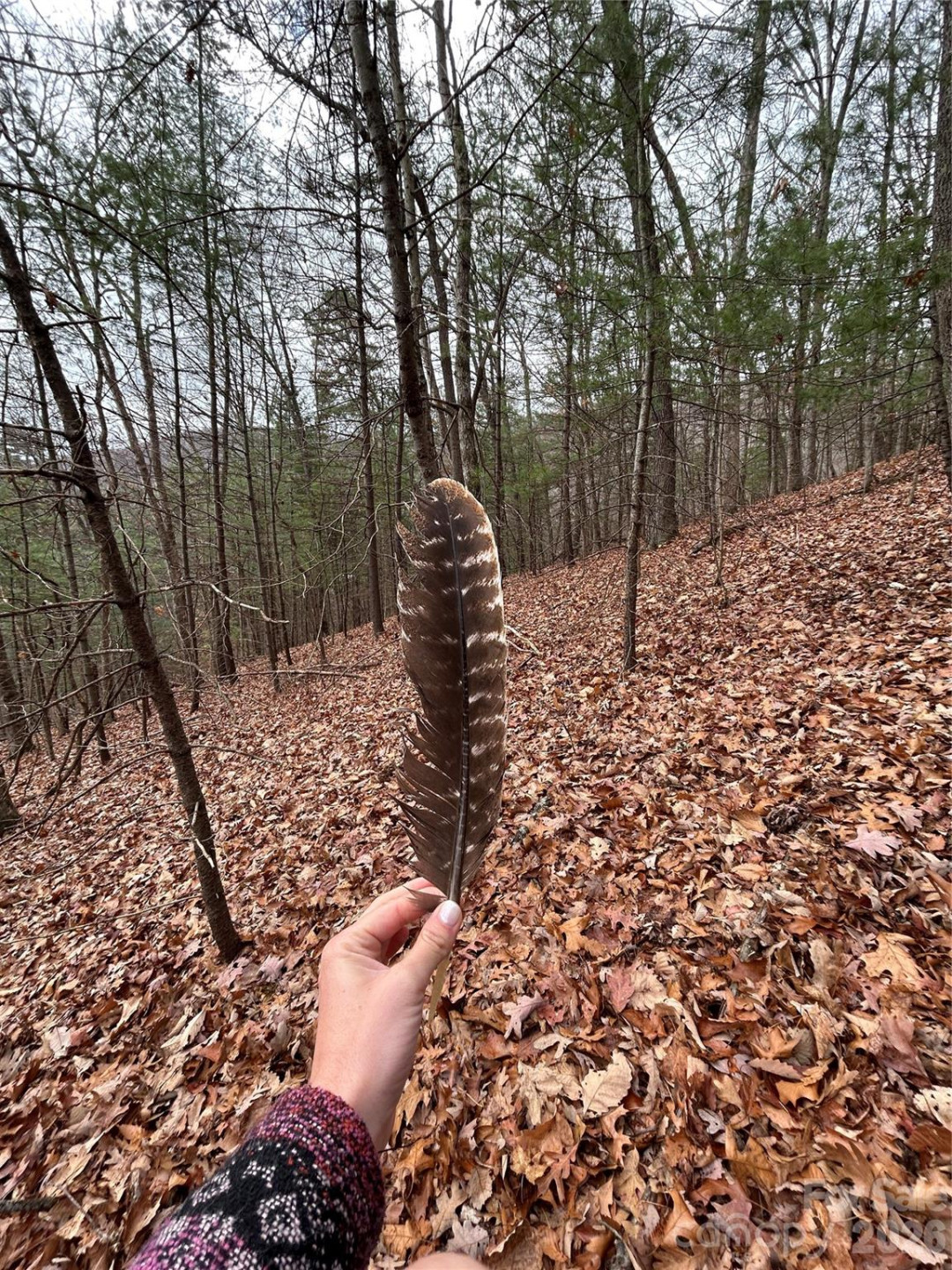 99999 Cowan Cove Road - Photo 4