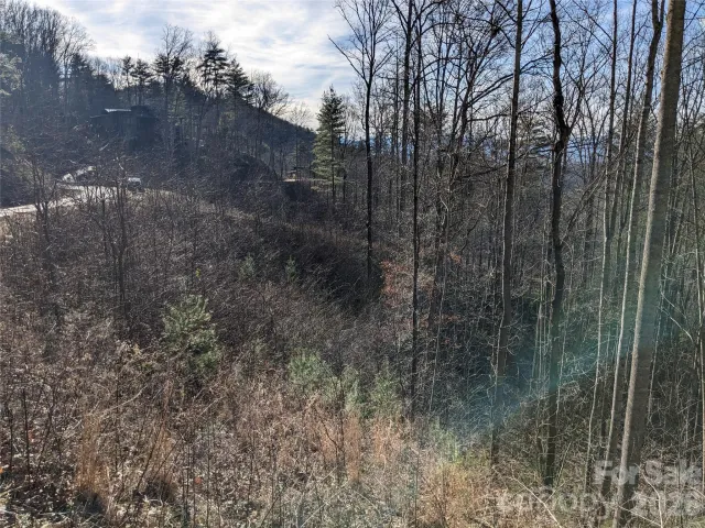 27 Bent Branch Lane, Asheville, NC, 28804