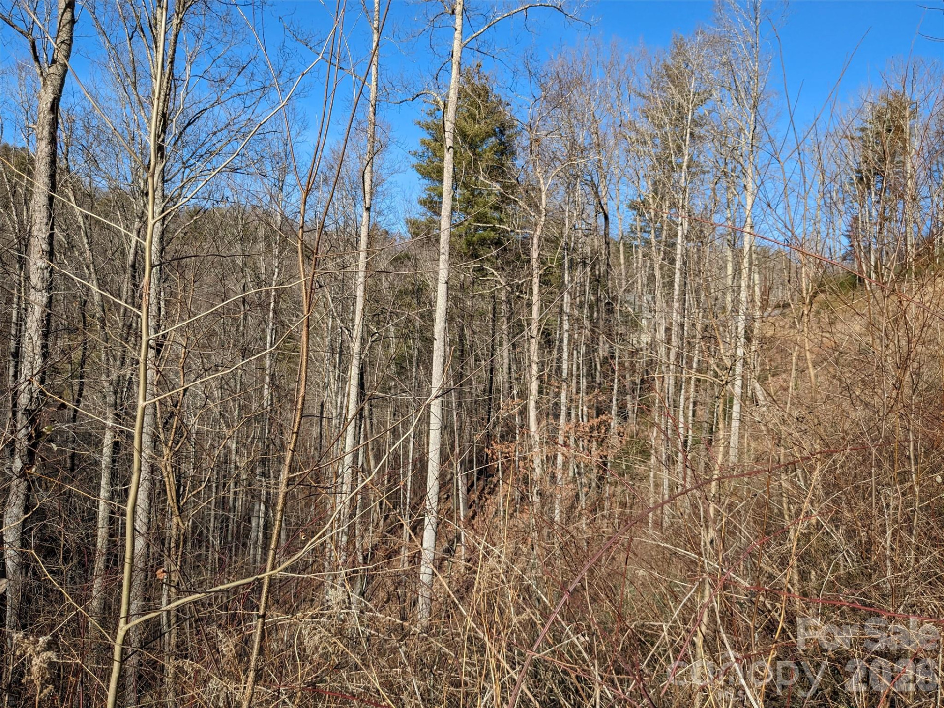 27 Bent Branch Lane #10 - Photo 11