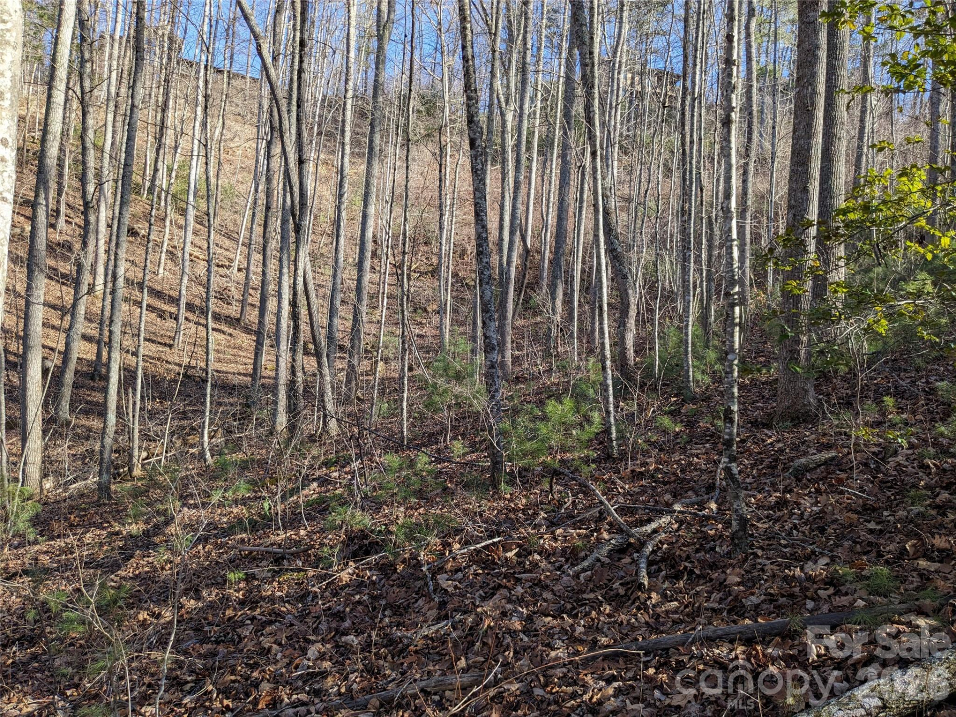 27 Bent Branch Lane #10 - Photo 12