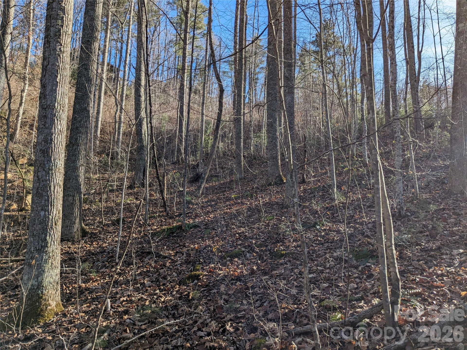 27 Bent Branch Lane #10 - Photo 13