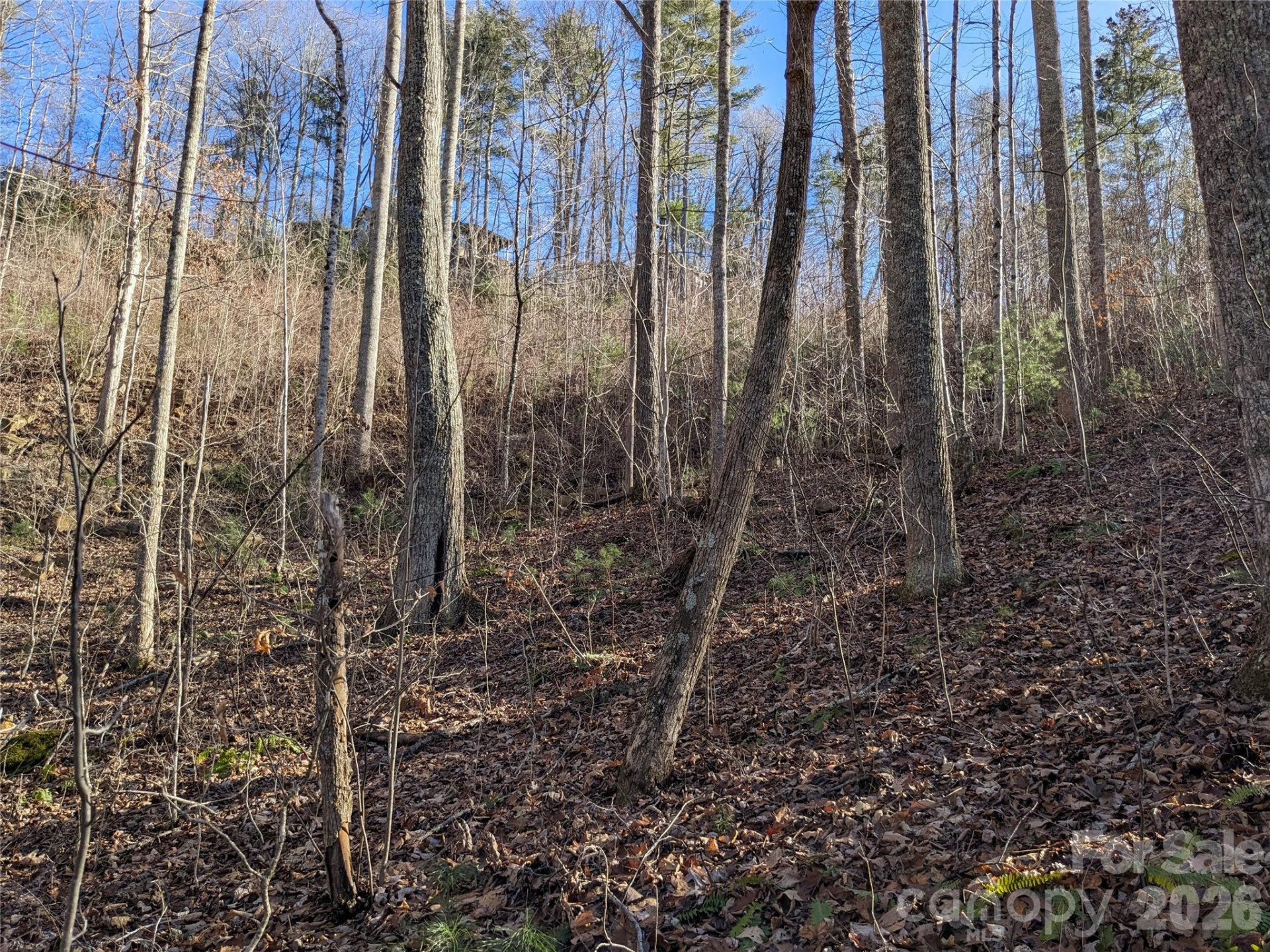 27 Bent Branch Lane #10 - Photo 14