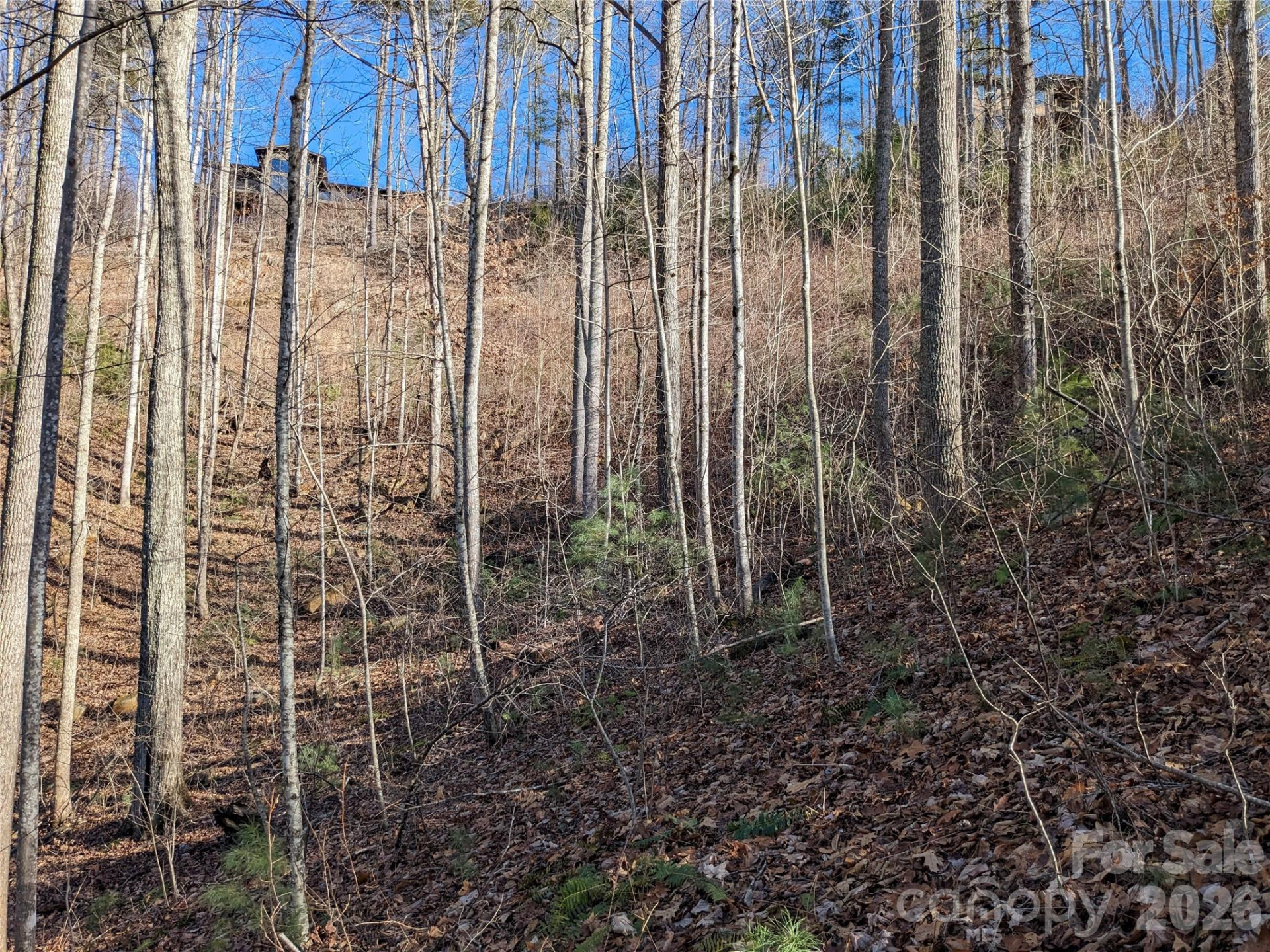 27 Bent Branch Lane #10 - Photo 15