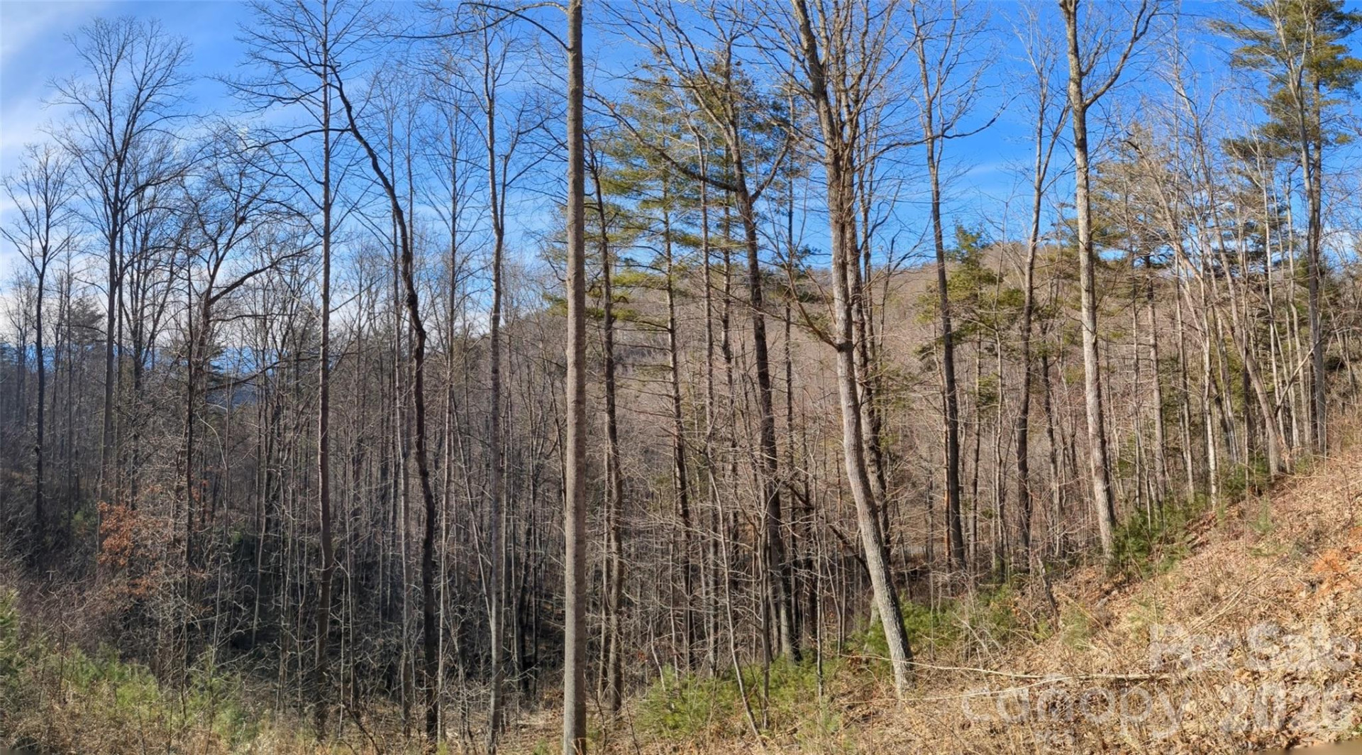 27 Bent Branch Lane #10 - Photo 16