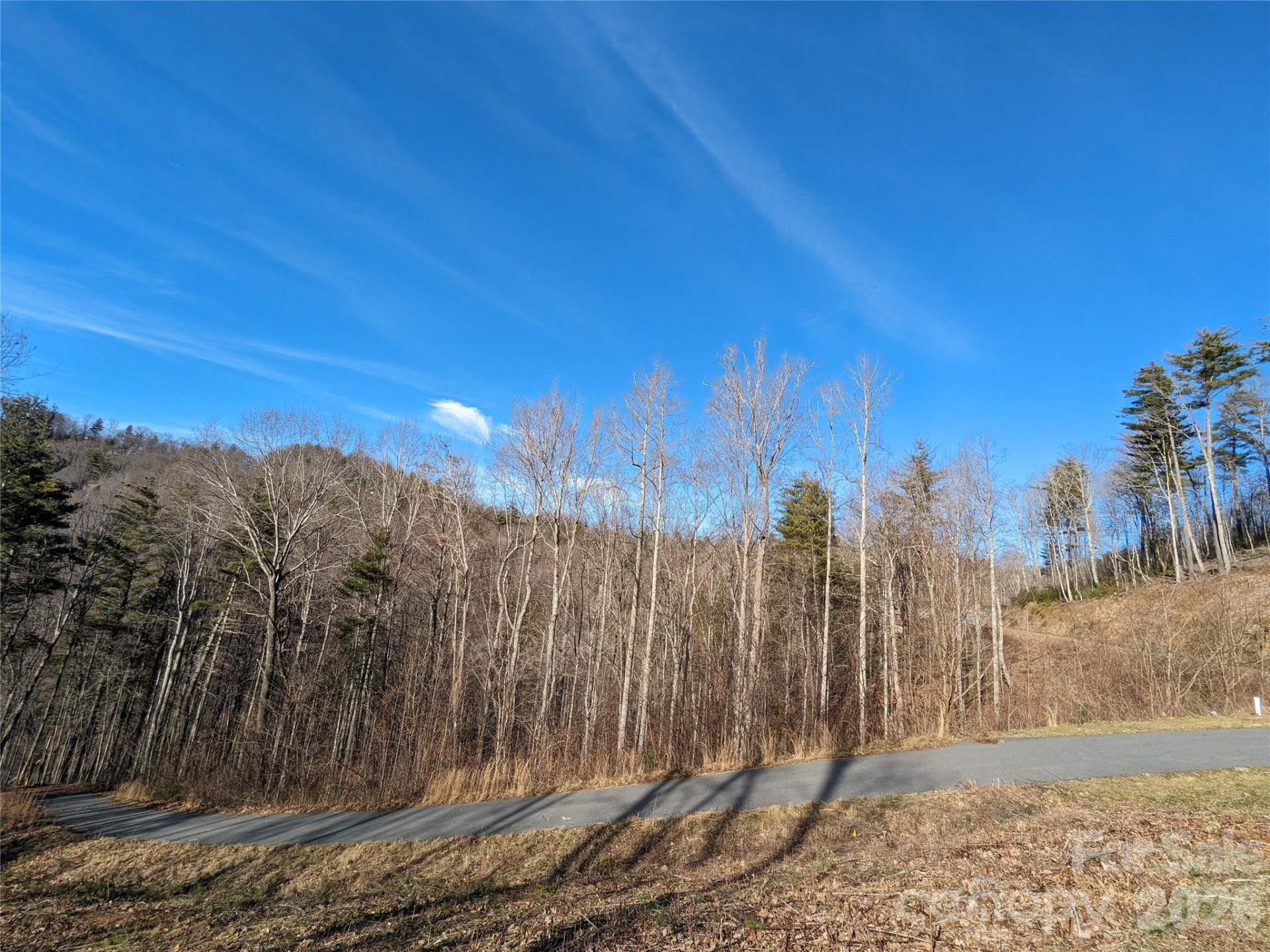 27 Bent Branch Lane #10 - Photo 20