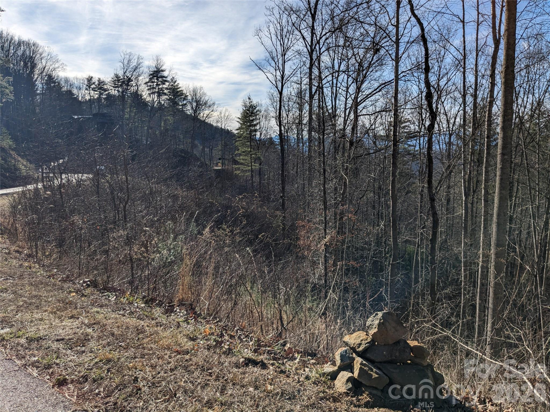 27 Bent Branch Lane #10 - Photo 10