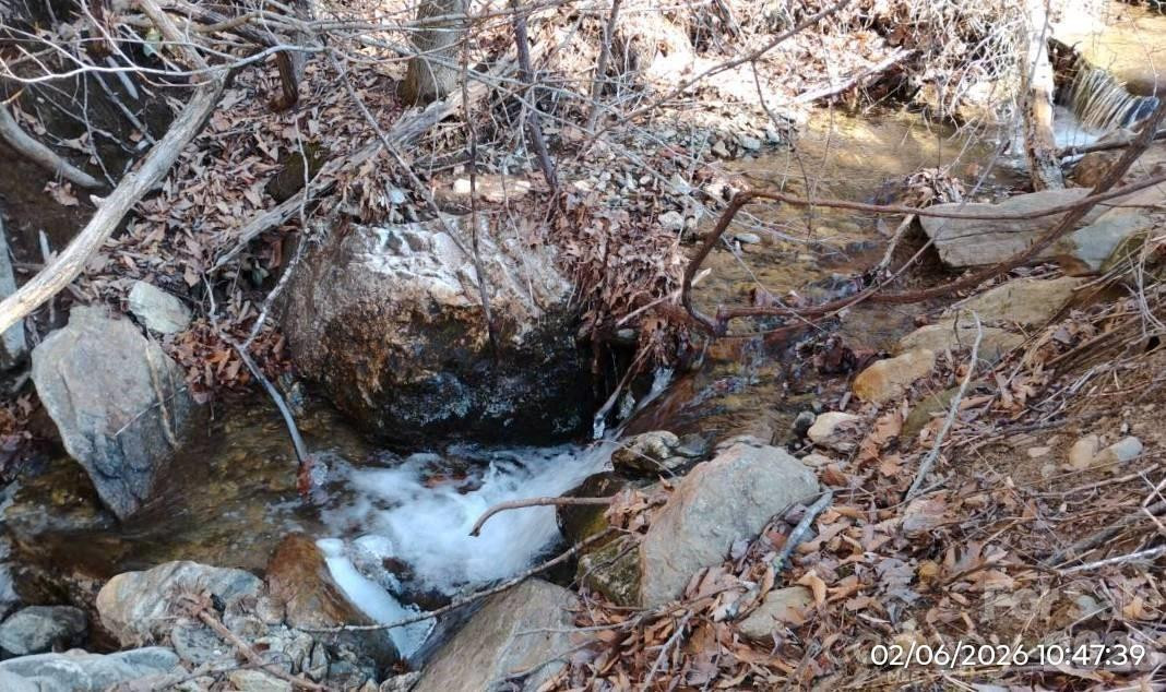 337 Red Bank Road - Photo 5