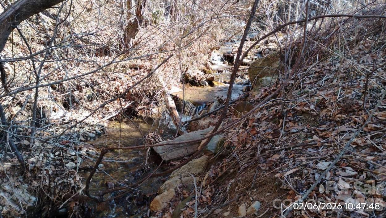 337 Red Bank Road - Photo 6