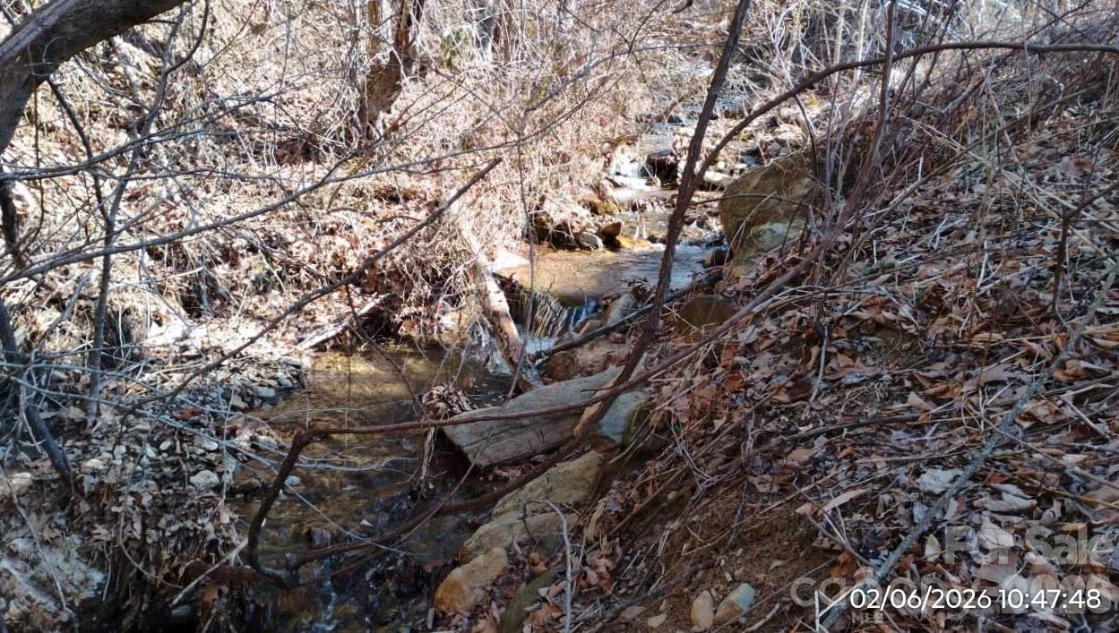 337 Red Bank Road - Photo 6
