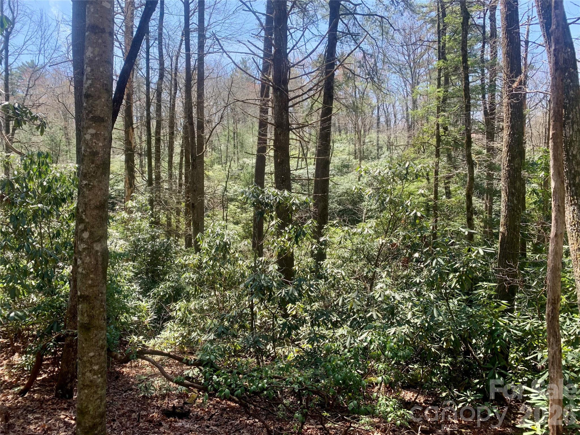 Lot 20A Indian Lake Road #20A