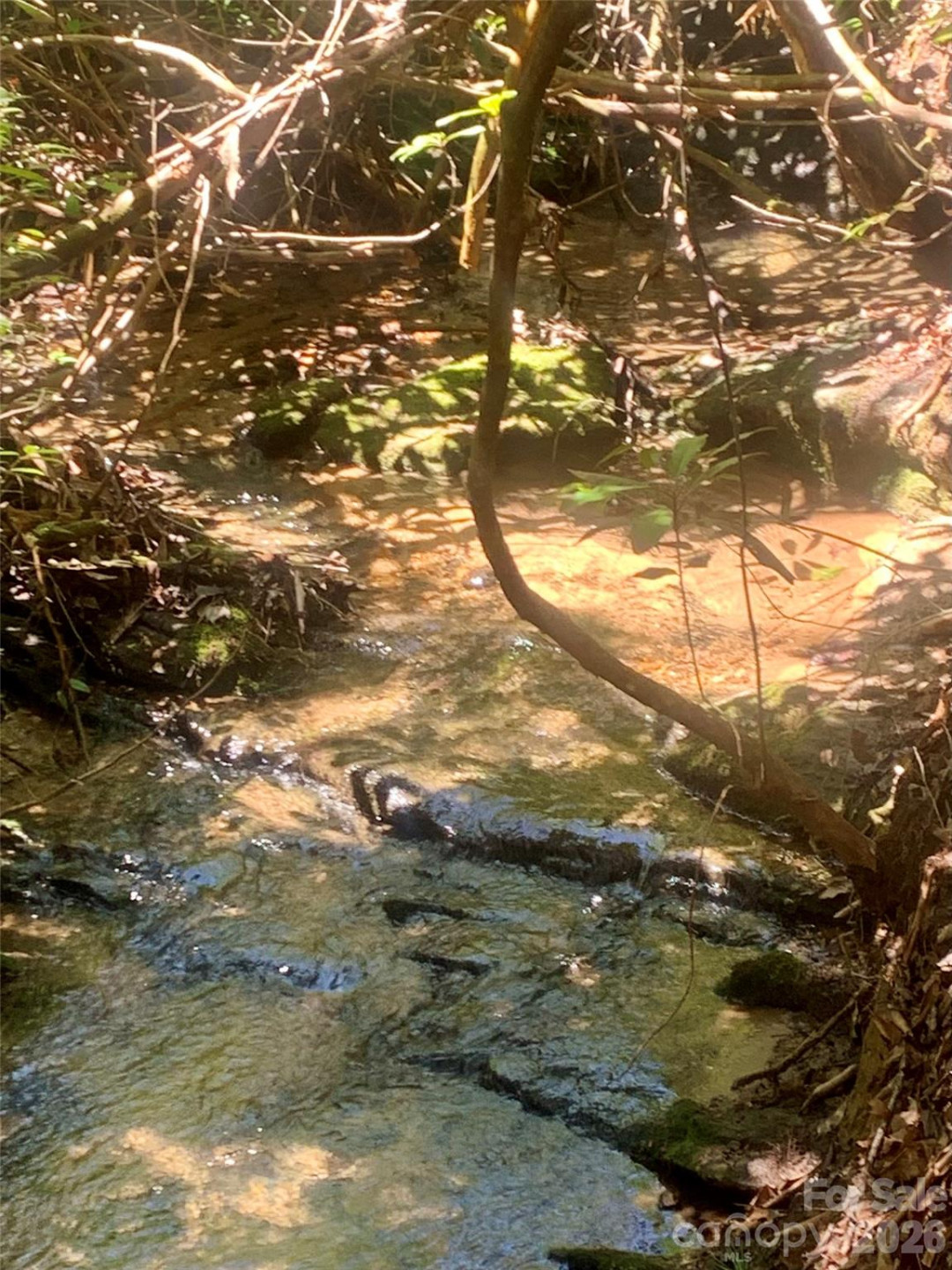 Lot 20A Indian Lake Road #20A - Photo 4