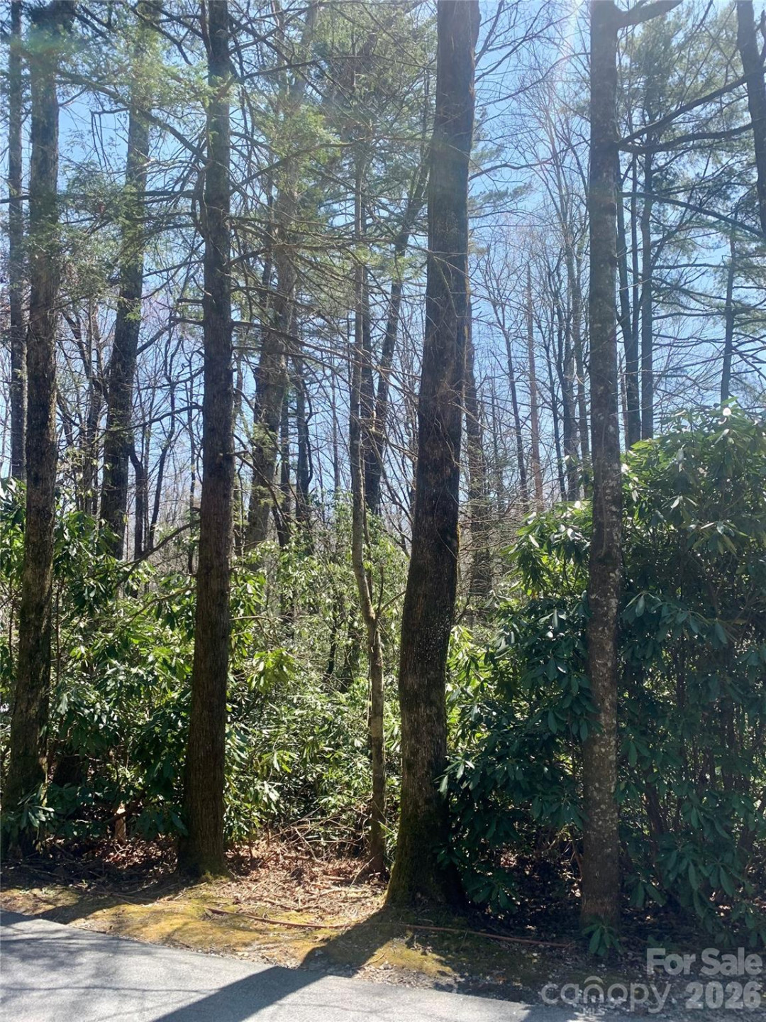 Lot 20A Indian Lake Road #20A - Photo 5