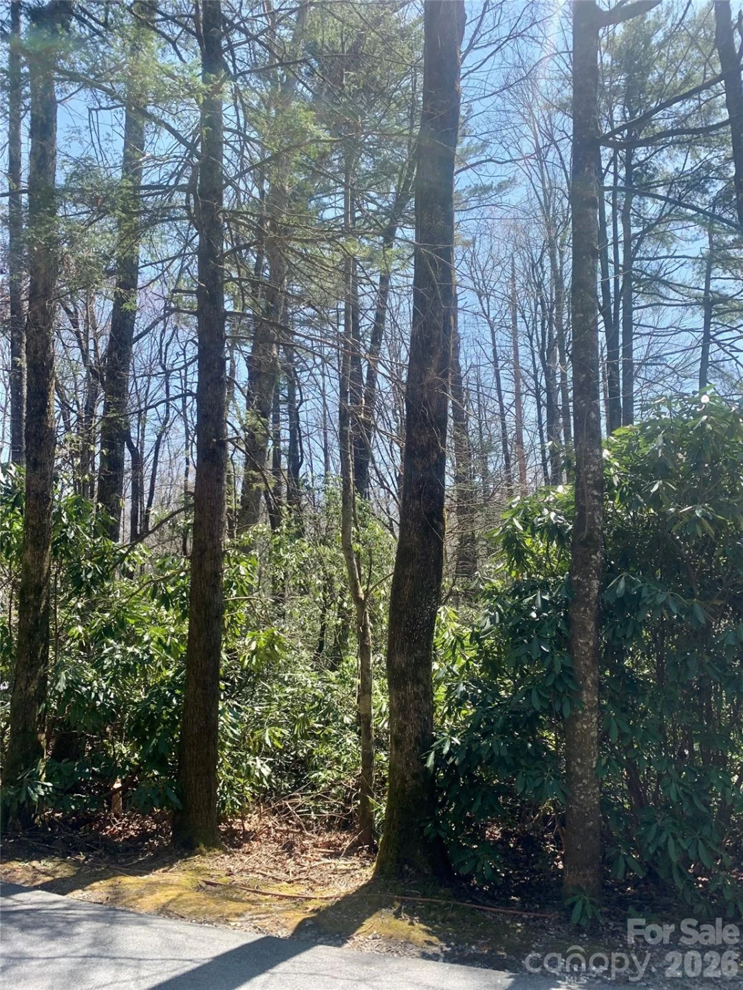 Lot 20A Indian Lake Road #20A - Photo 5
