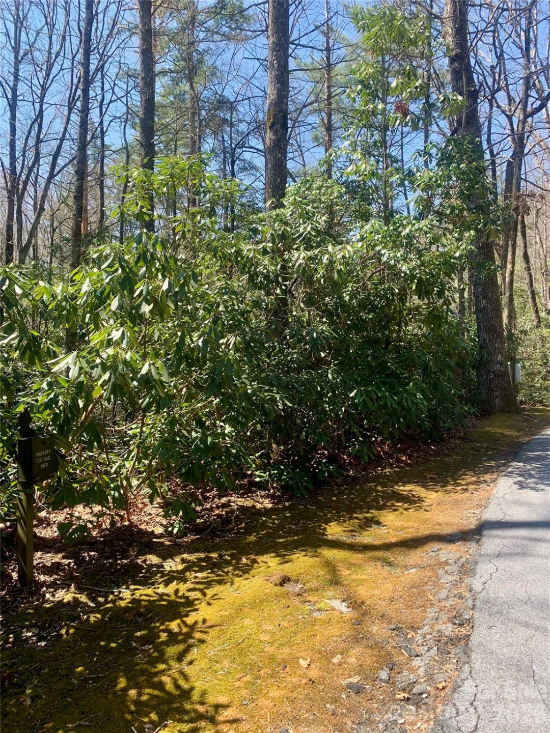 Lot 20A Indian Lake Road #20A - Photo 6