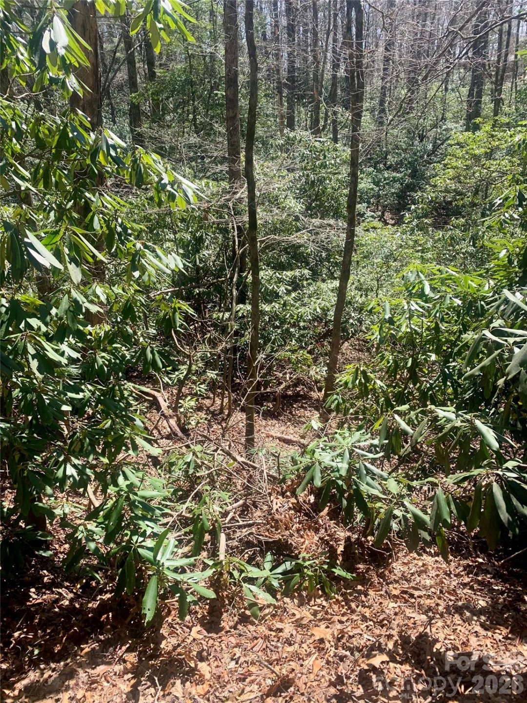 Lot 20A Indian Lake Road #20A - Photo 7