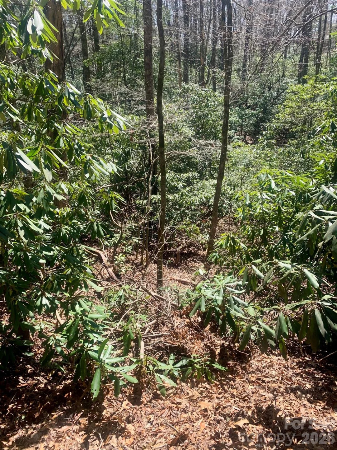 Lot 20A Indian Lake Road #20A - Photo 7