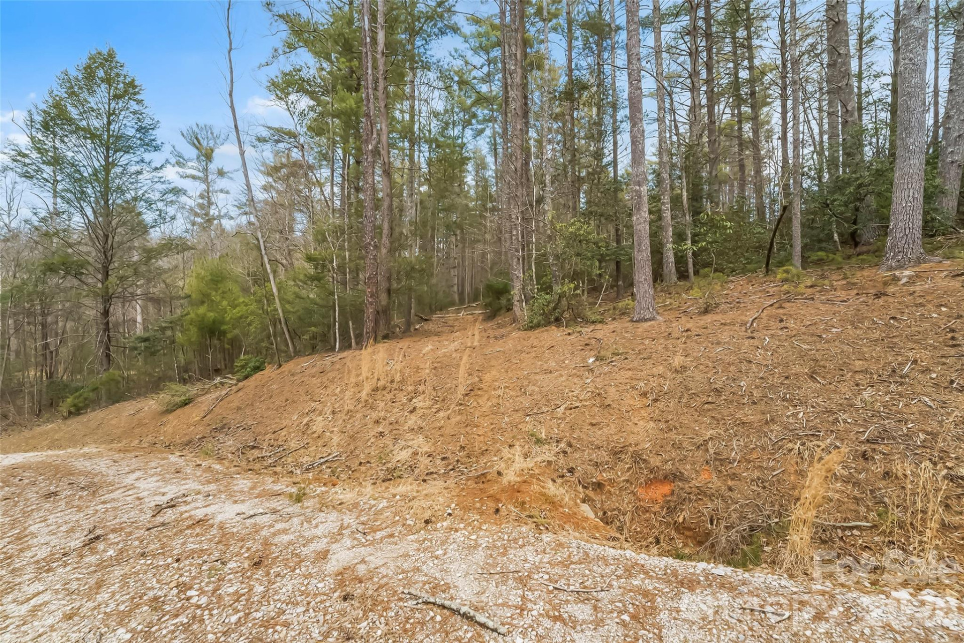 2086 October Drive #147 - Photo 13