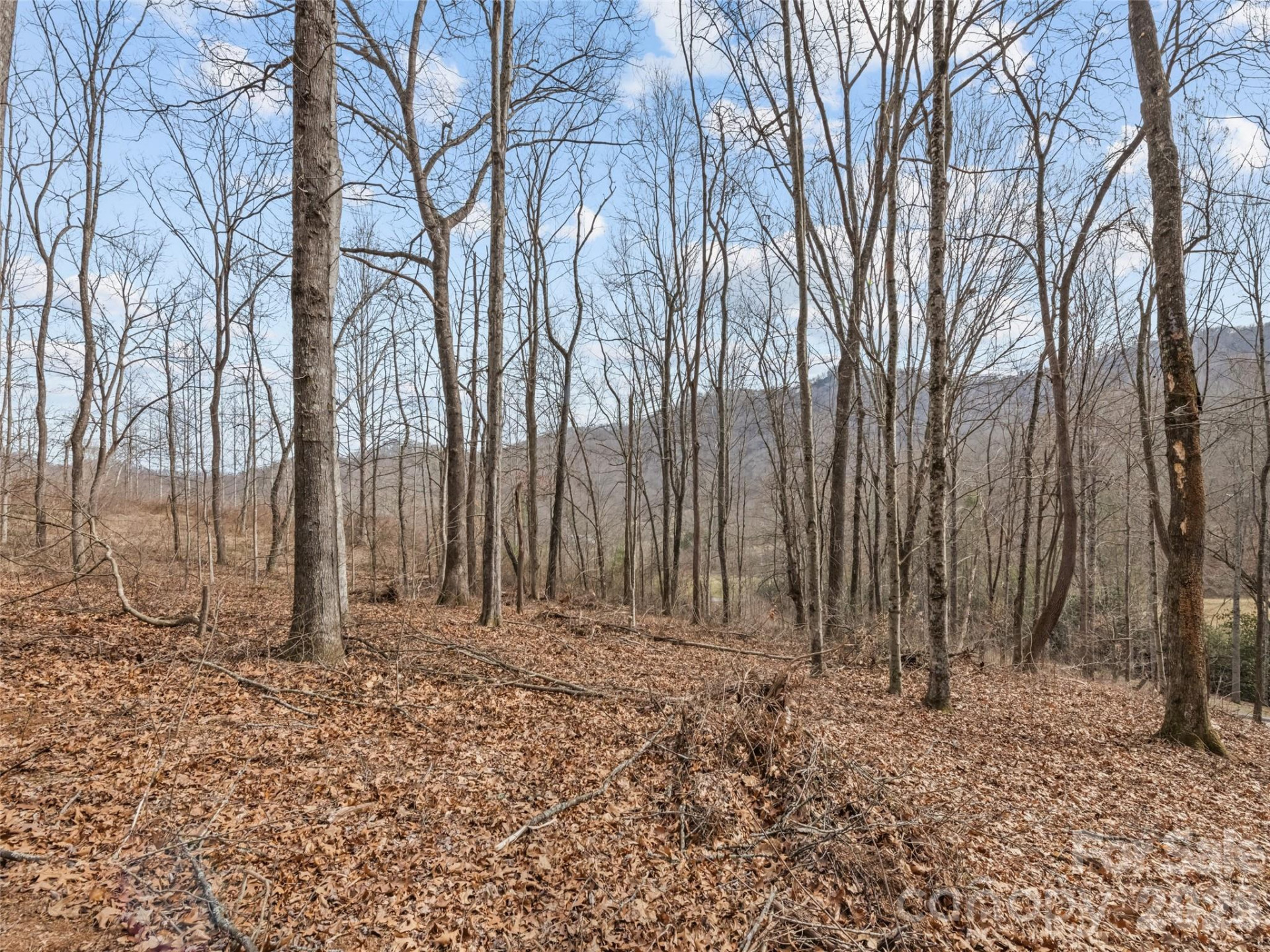 0 Barn View Lane - Photo 11