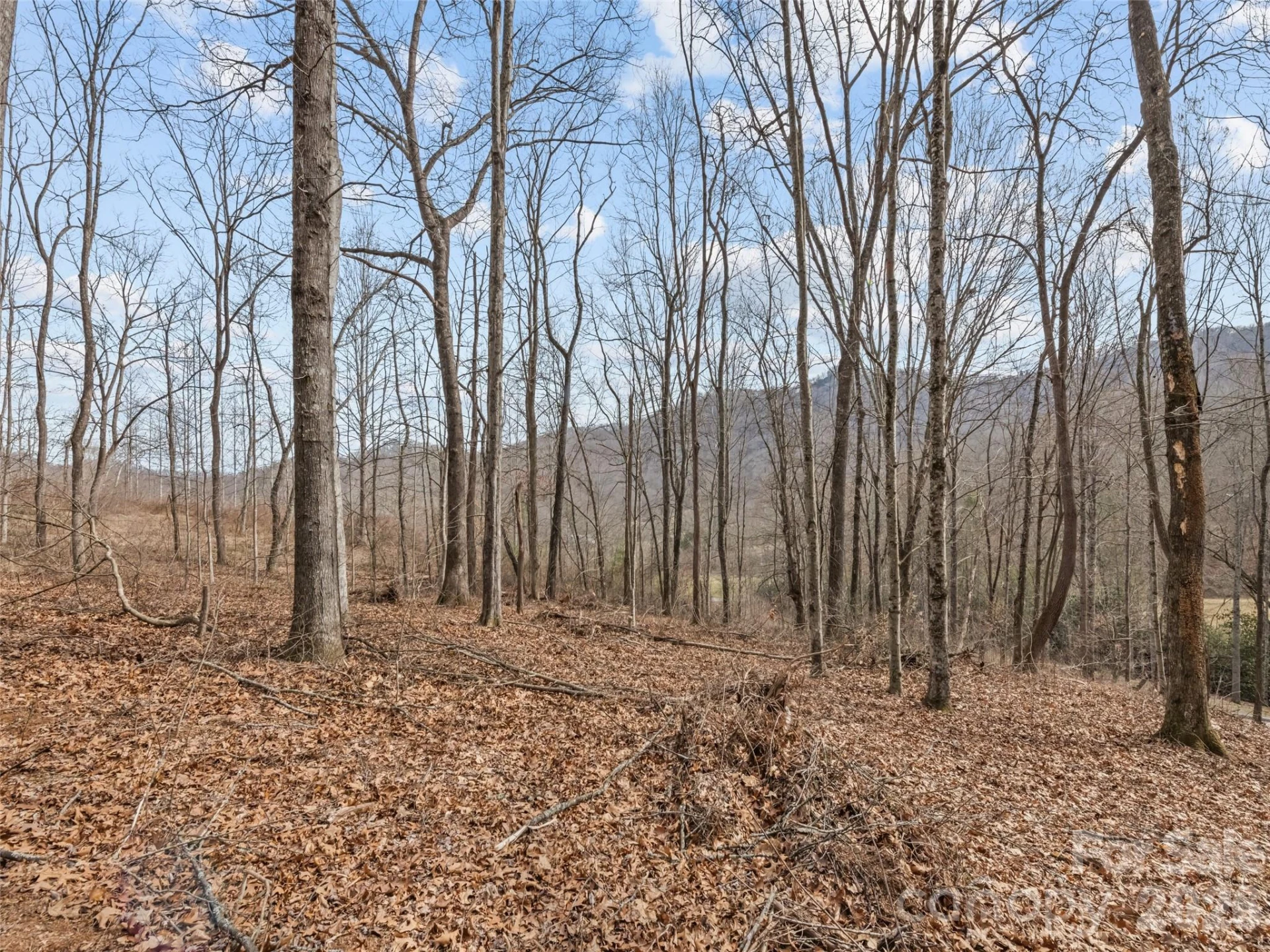 0 Barn View Lane - Photo 11