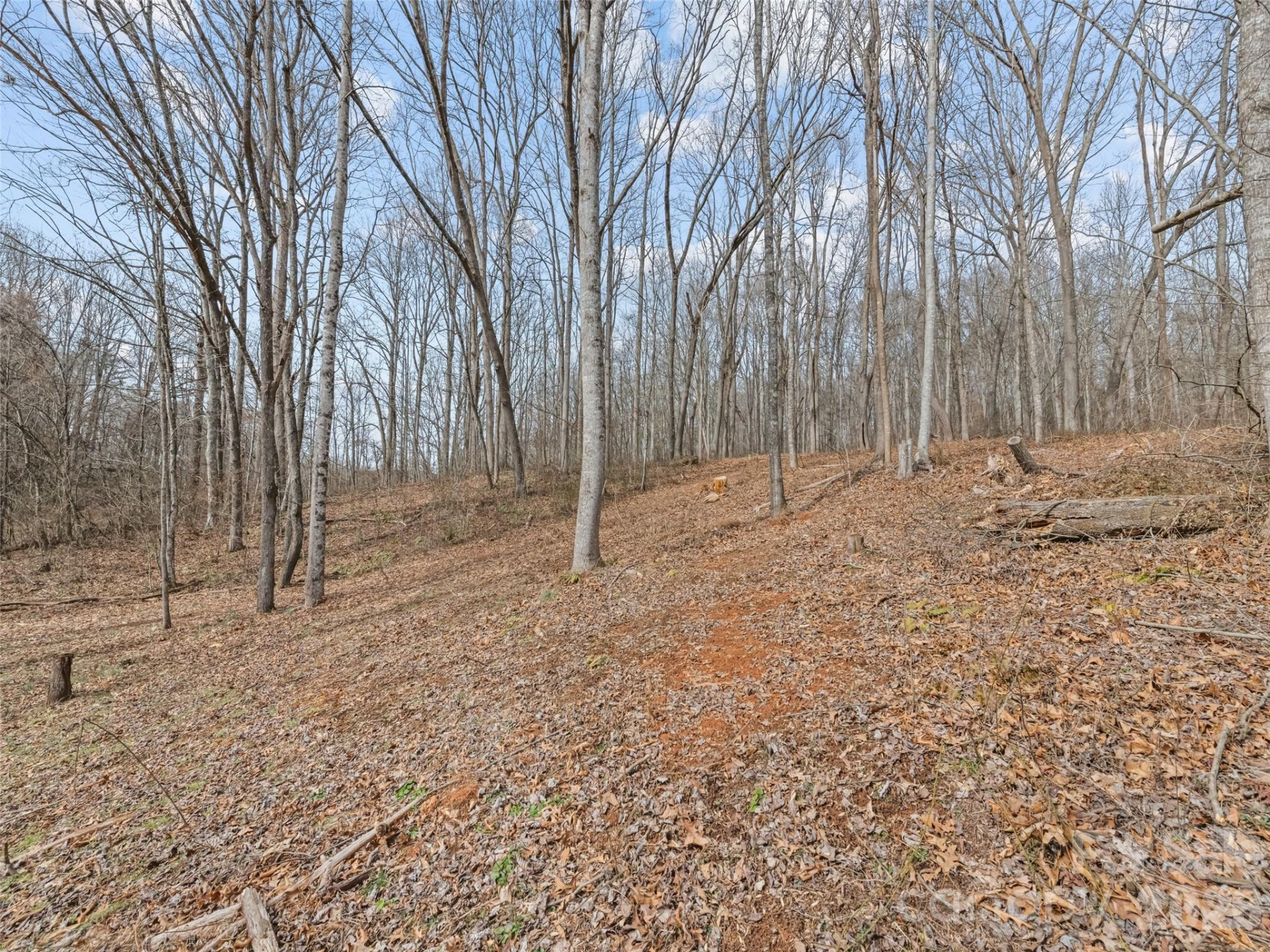 0 Barn View Lane - Photo 14