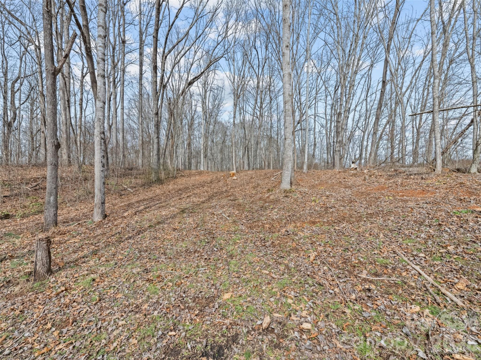 0 Barn View Lane - Photo 10