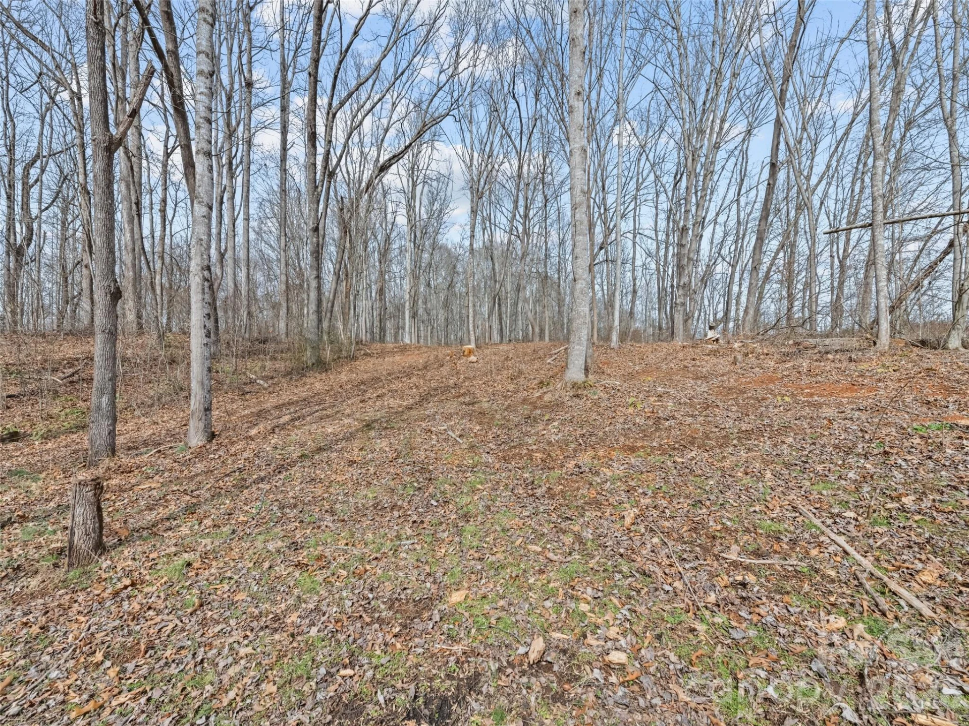 0 Barn View Lane - Photo 10