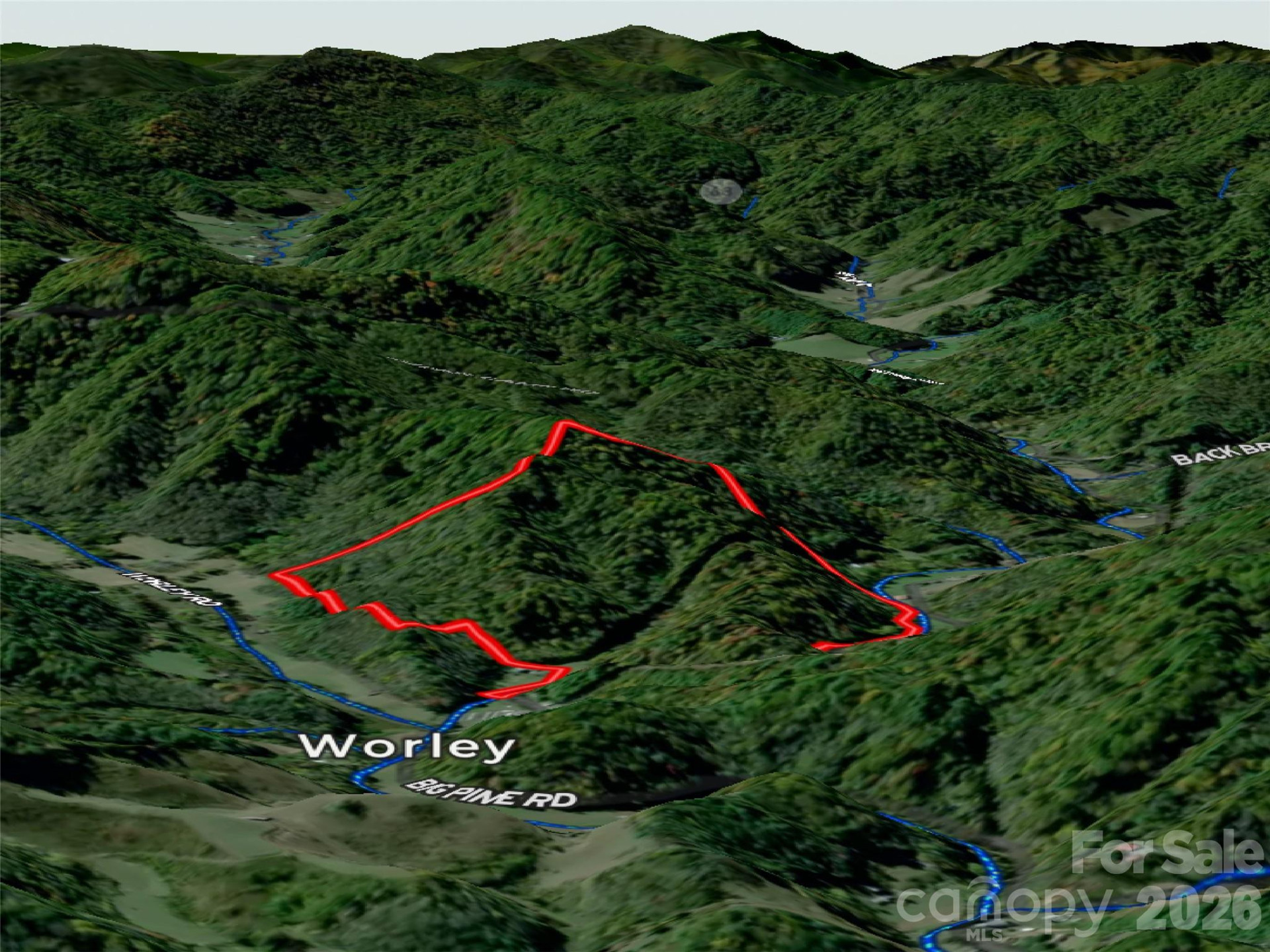 7385 Big Pine Road - Photo 2