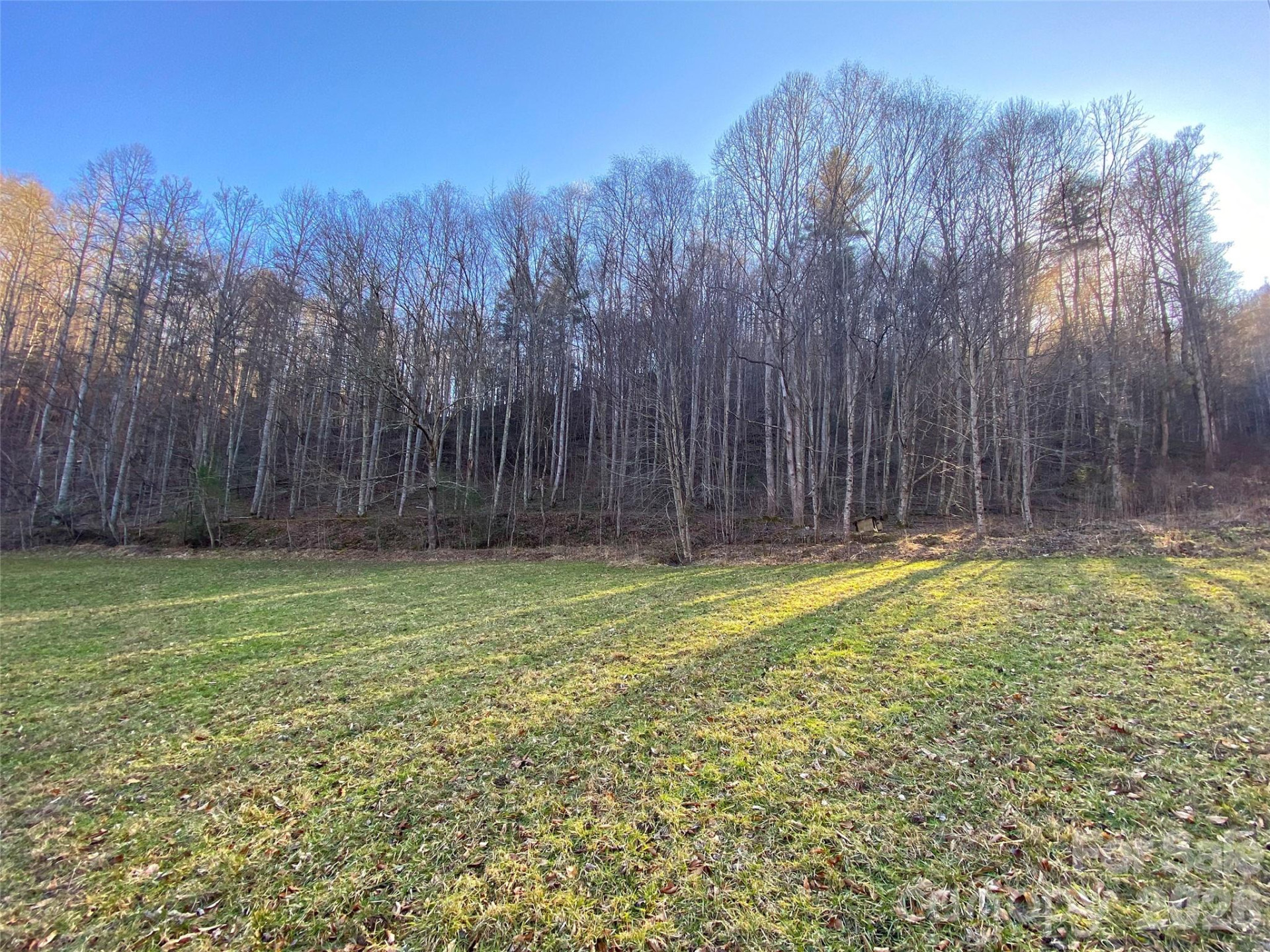 7385 Big Pine Road - Photo 12